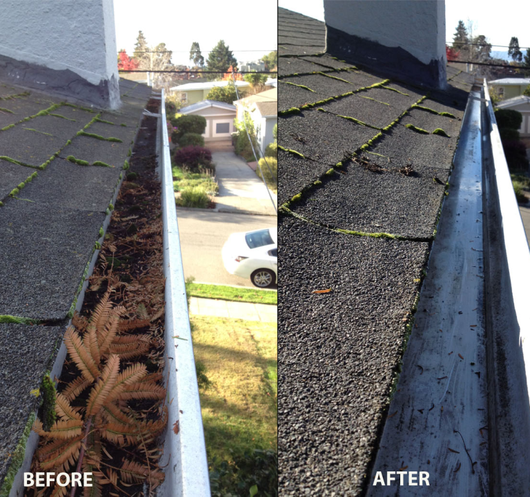 Gutter Cleaning